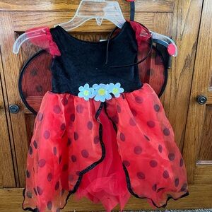 Red and Black Ladybug Costume Dress